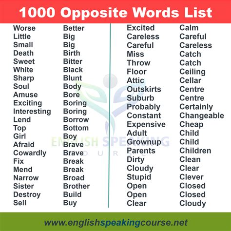 obessed|OBSESSED Synonyms: 68 Similar and Opposite Words